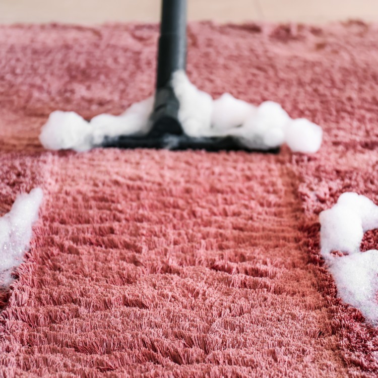 Carpet and Upholstery Cleaning in Superior, WI