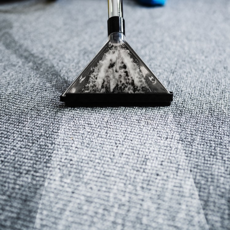 Carpet and Upholstery Cleaning in Superior, WI