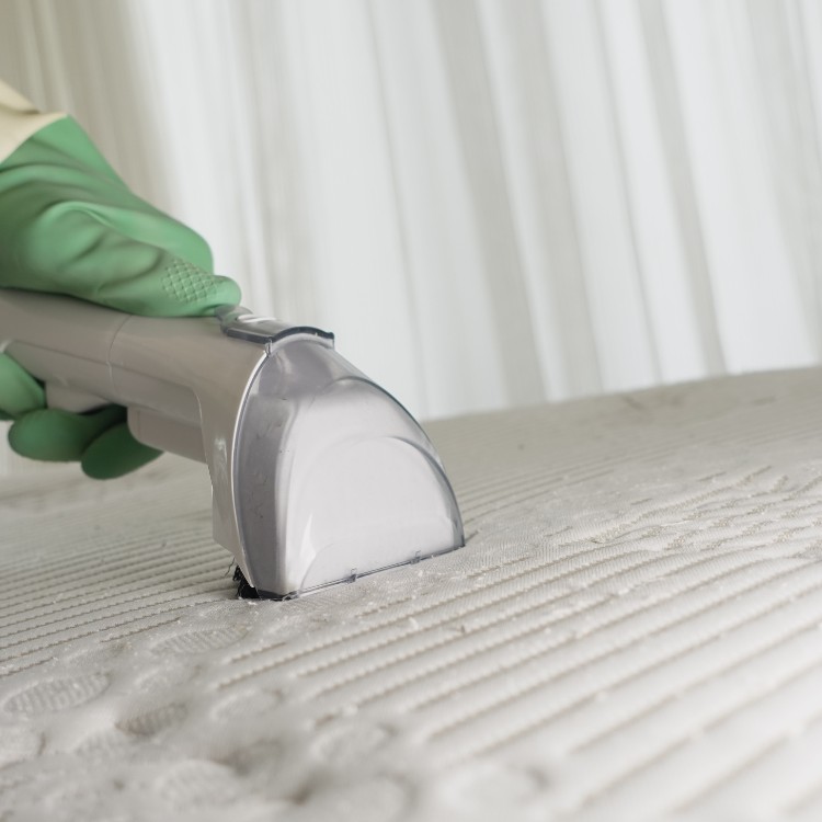 Carpet and Upholstery Cleaning in Superior, WI Carpet and Upholstery Cleaning in Superior, WI