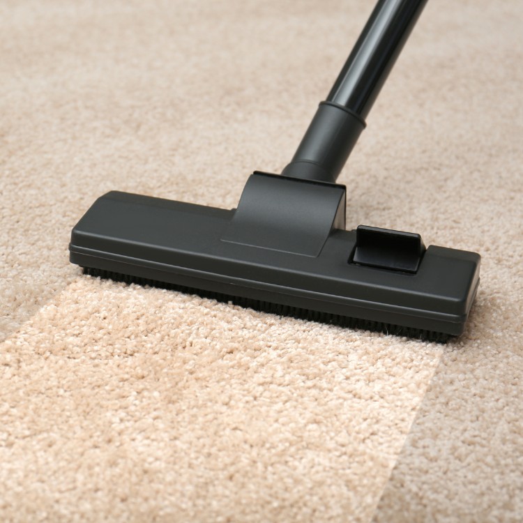 Carpet and Upholstery Cleaning in Superior, WI
