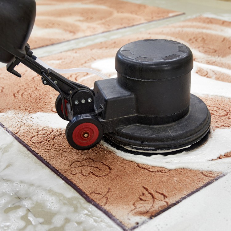 Carpet and Upholstery Cleaning in Superior, WI